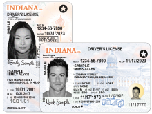 Minor driver's license and adult driver's license examples