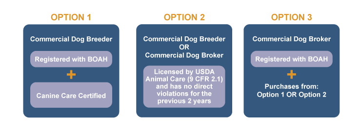 Chart with options for stores to buy dogs.