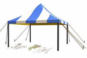 Computer image of a canopy tent with stakes