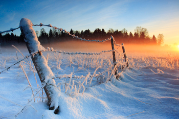 Fence with snow in field
