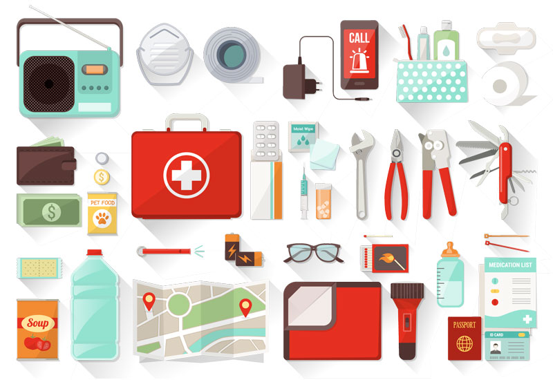 Emergency preparedness vehicle kit items