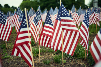 A bunch of tiny flags placed on a lawn for memorial day