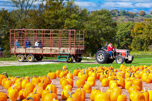 People on hayride behind tractor at pumpkin patch