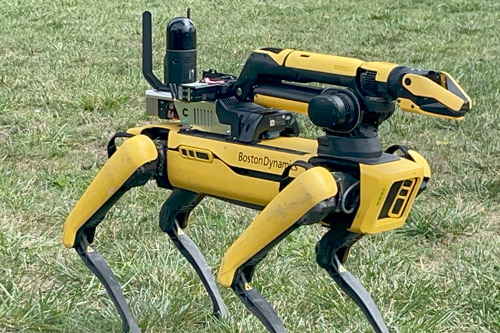 robotic dog