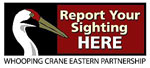 Report Whooping Crane sightings here