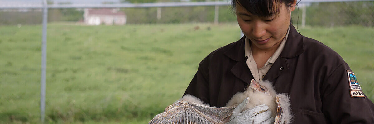 Woman holding barn owl chick.