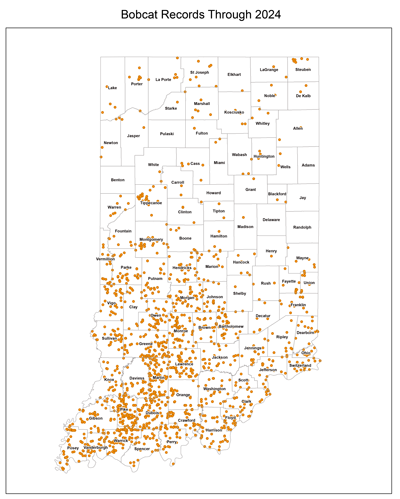 Map of bobcat records in Indiana through 2024.  Most bobcat records are in the southeast portion of the state, but all counties have bobcats reported except Adams, Benton, Delaware, Jay, Pulaski, and Randolph counties.