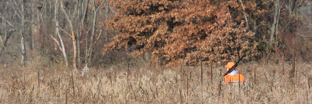 Hunter in fall field