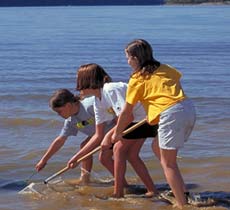 Kids collecting specimens at Lake Monroe