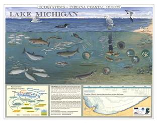 2007 Ecosystems of the Indiana Coastal Region poster