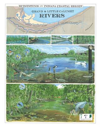 2014 Ecosystems of the Indiana Coastal Region poster