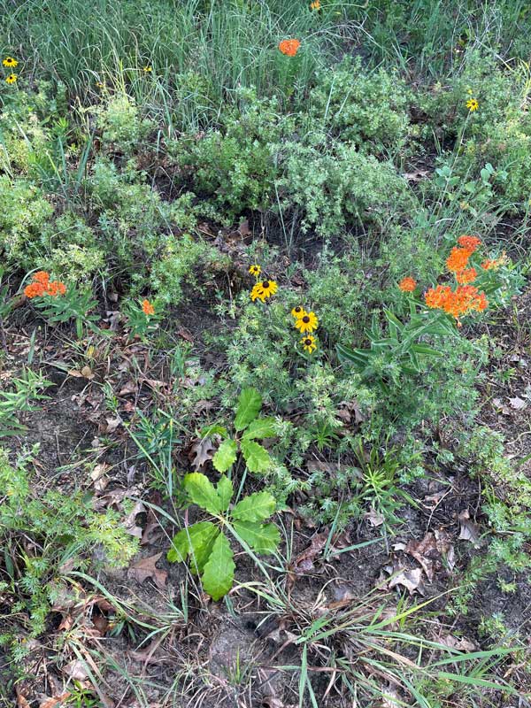 Eagle Lake Nature Preserve