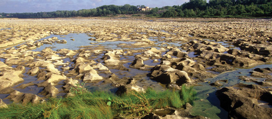 Fossil beds at Falls of the Ohio State Park.