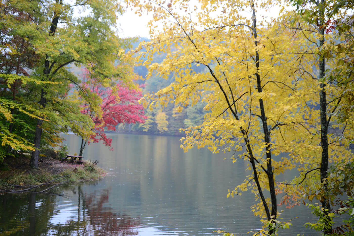 lake with fall trees