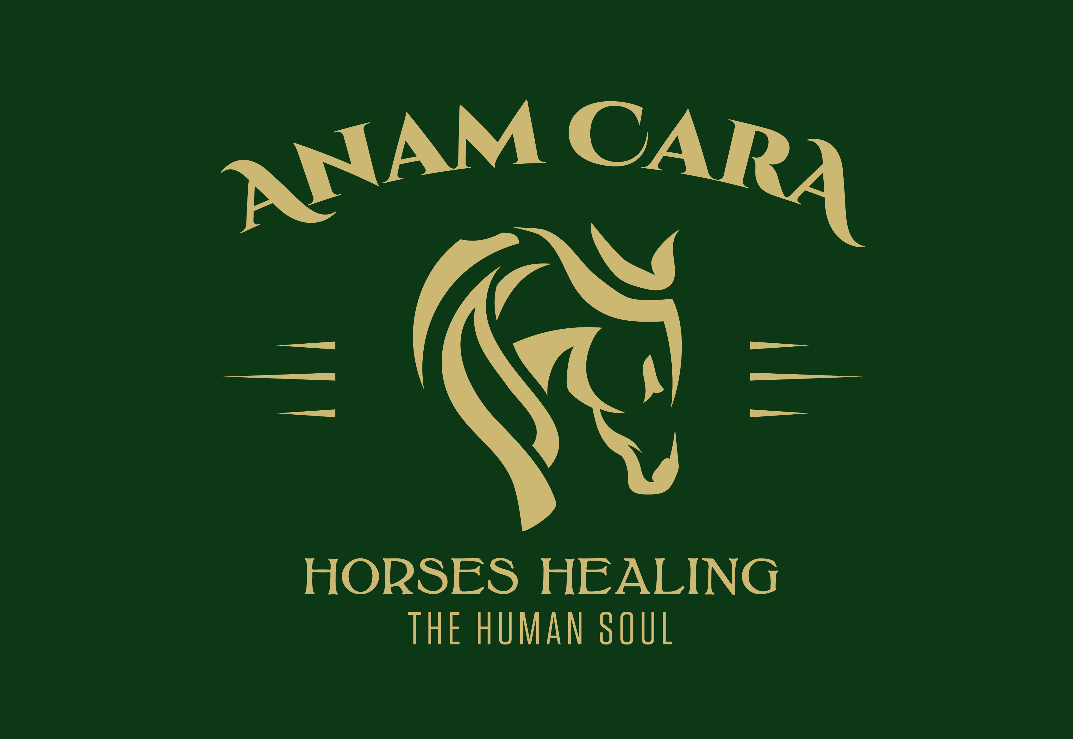 https://anamcarastables.org/