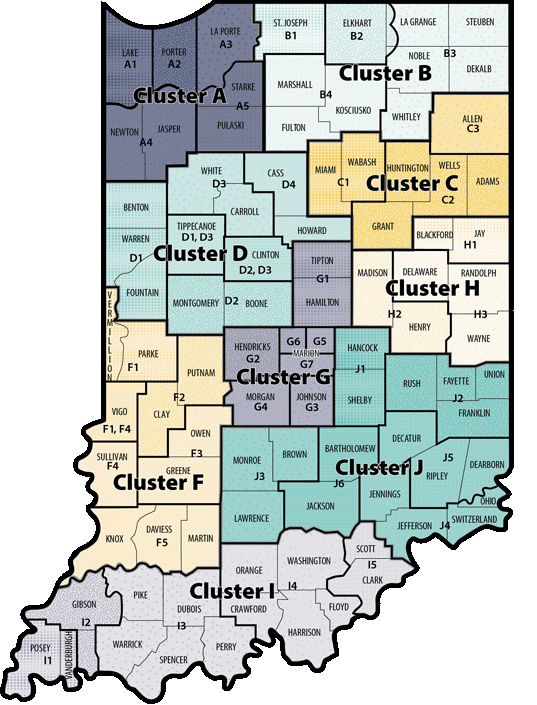 First Steps cluster map