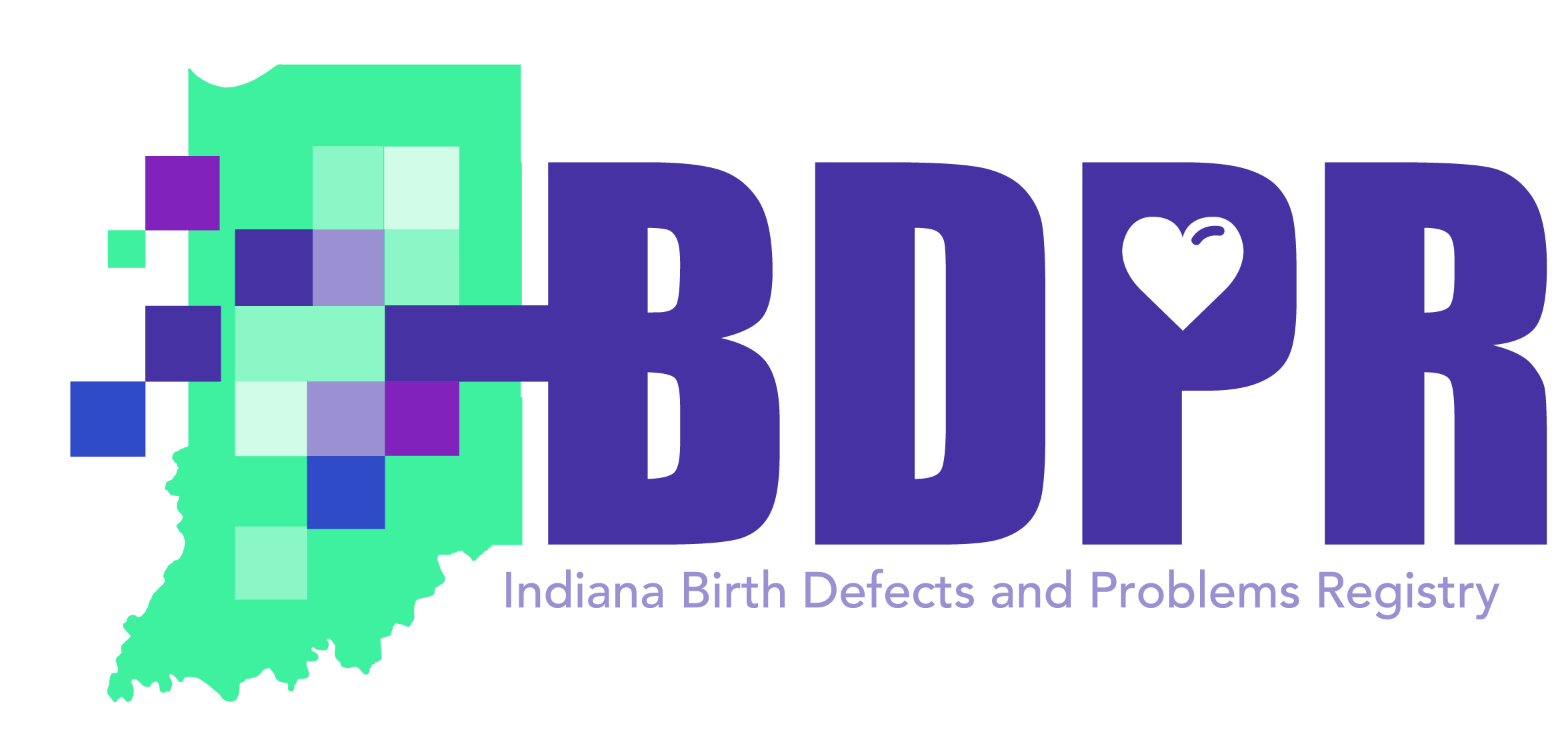 birth defects program logo