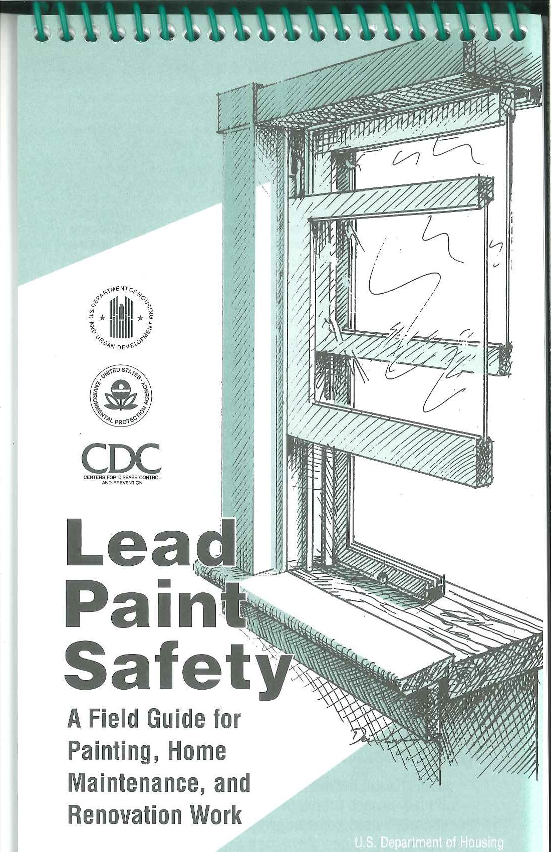 lead pain safety