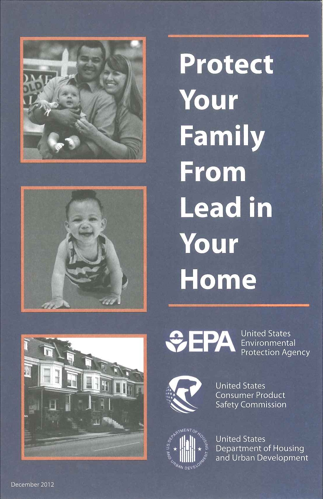 protect family from lead