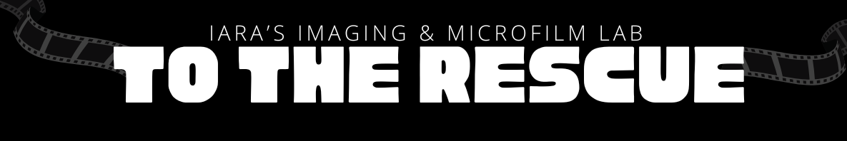 Snakeskin Blog Banner