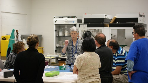 Mending and Drying Workshop