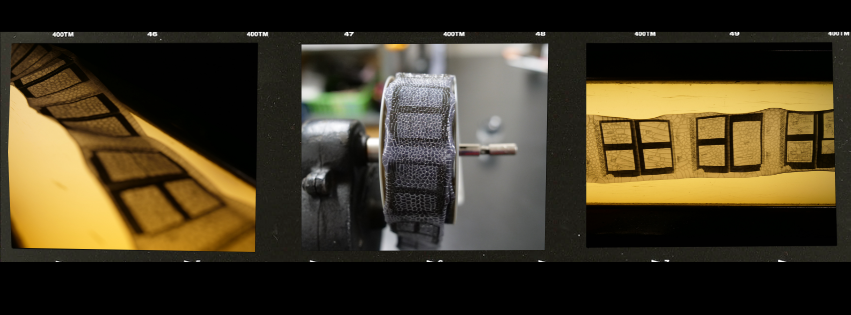 snakeskin film collection 1