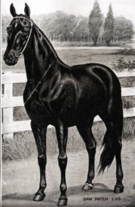 Dan Patch – A Hoosier Born Horse Legend