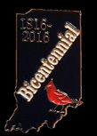 Bicentennial Pin