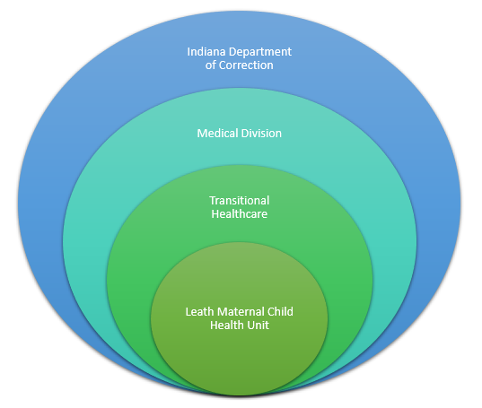 Organizational structure of the Leath Program