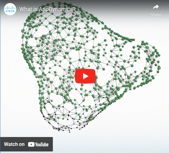What is AppDynamics?
