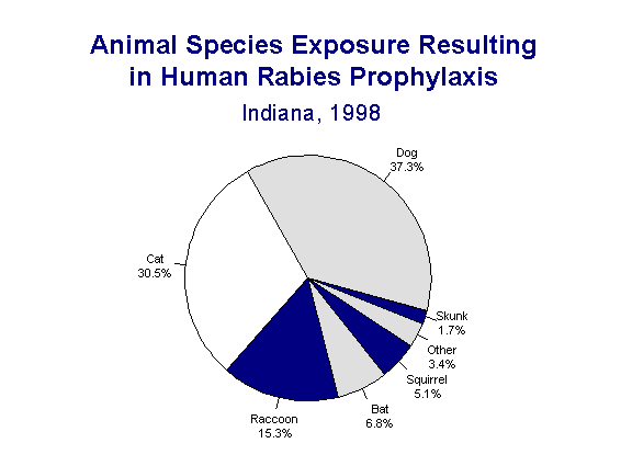 RABIES AND ANIMAL BITES