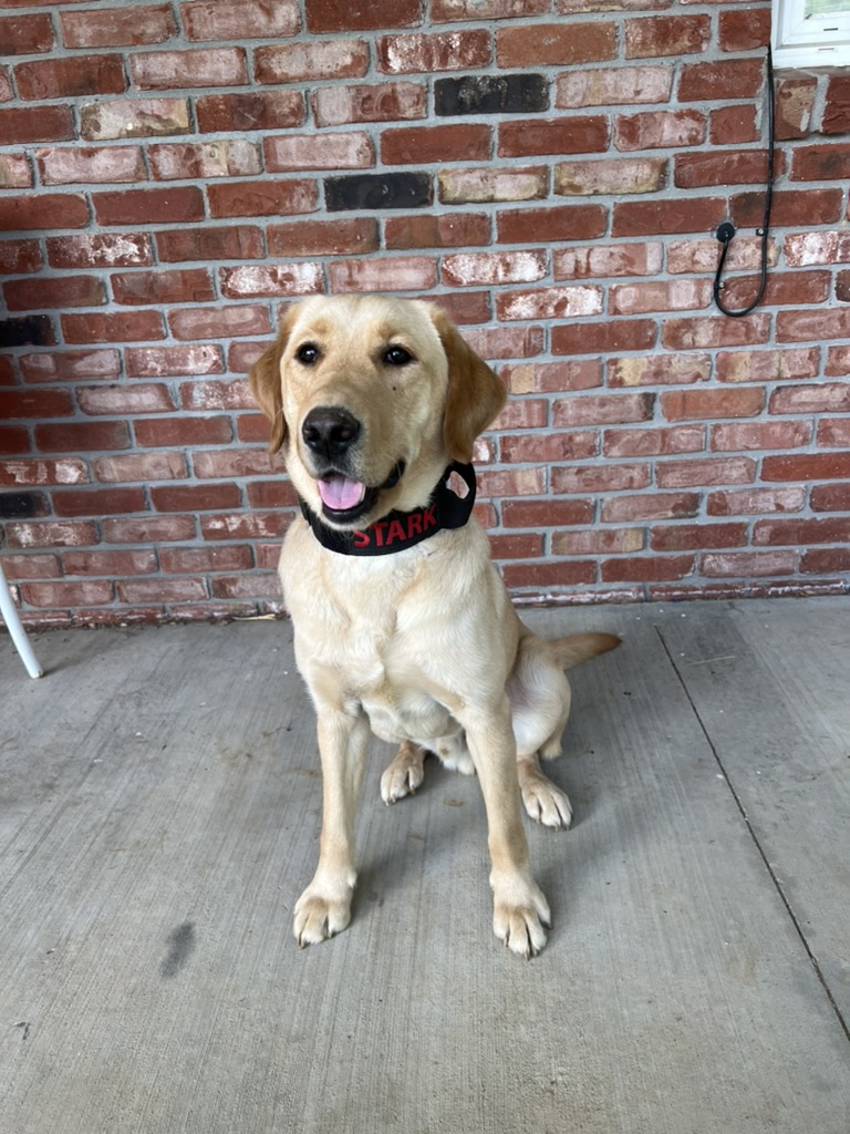 Stark K9 Unit