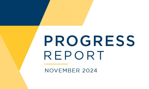 progress report