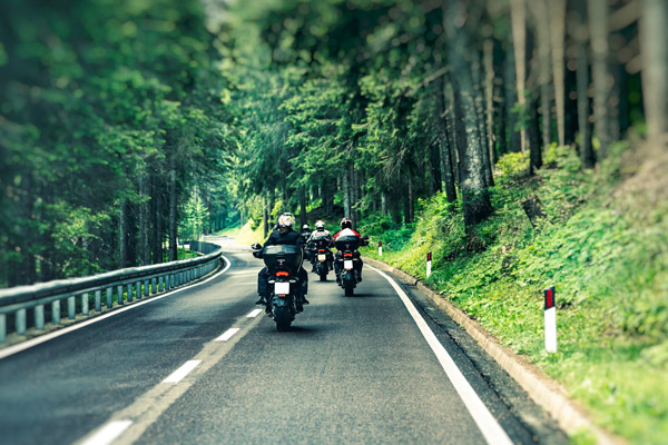 Group of motorcycles riding on a highway through a forested area.