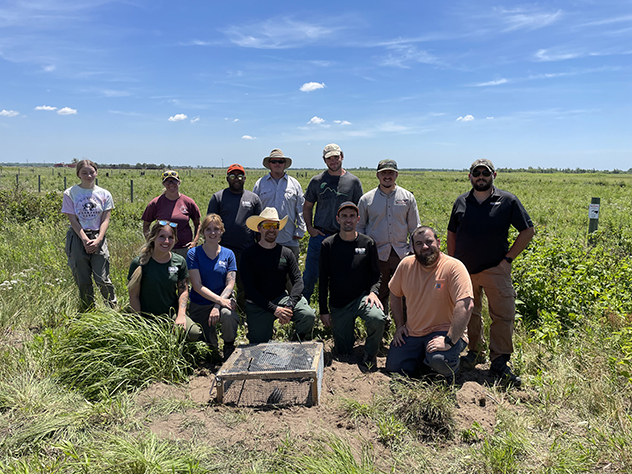 Franklin Groundsquirrel cage install group